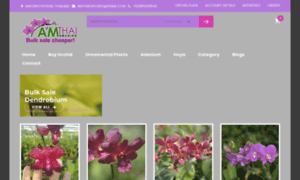 Amthaiorchids.com thumbnail