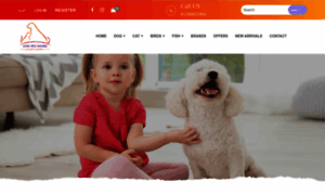 Amypetstore.com thumbnail