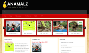Anamalz.co.za thumbnail