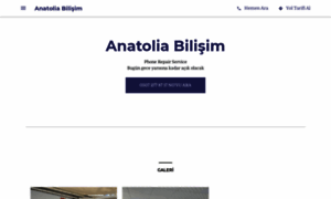 Anatolia-bilisim-phone-repair-service.business.site thumbnail