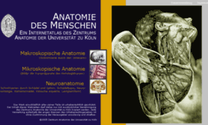 Anatomiedesmenschen.uni-koeln.de thumbnail