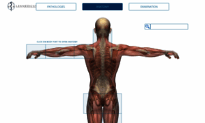 Anatomy.lexmedicus.com.au thumbnail
