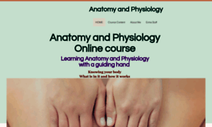 Anatomy4beginners.com thumbnail