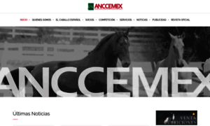 Anccemex.com thumbnail