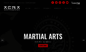 Ancientcitymartialarts.com thumbnail