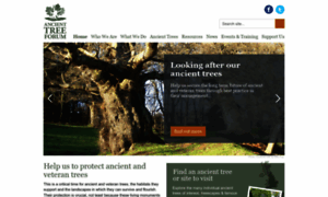 Ancienttreeforum.co.uk thumbnail