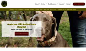 Andersonhillsanimalhospital.com thumbnail