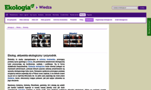 Aneta.pl thumbnail