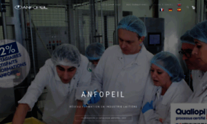 Anfopeil-enil.fr thumbnail