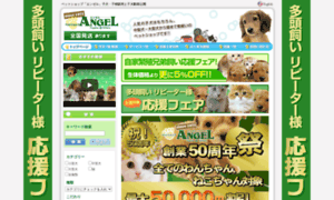 Angel-dog.co.jp thumbnail