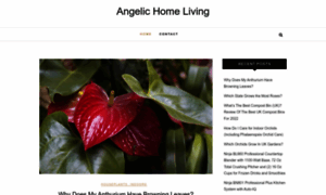 Angelichomeliving.com thumbnail