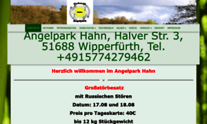 Angelpark-hahn.de thumbnail