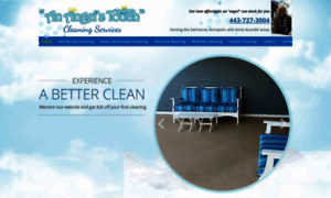 Angelstouchcleaningservice.net thumbnail
