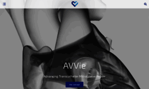 Angelvalve.com thumbnail