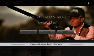 Angloitalianarms.co.uk thumbnail