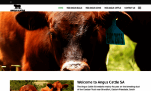Angus-cattle.co.za thumbnail