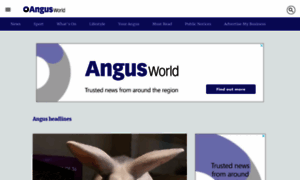 Anguscountyworld.co.uk thumbnail