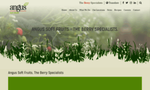 Angussoftfruits.co.uk thumbnail