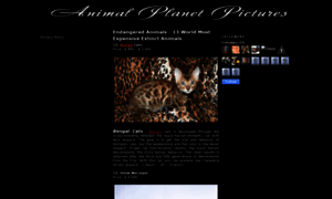 Animal-planet-pictures.blogspot.com thumbnail