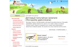 Animal-store.ru thumbnail