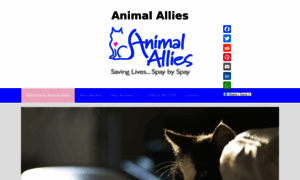 Animalallies.org thumbnail
