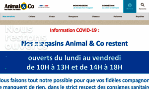 Animalandco.fr thumbnail