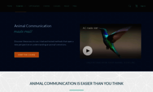 Animalcommunicationtraining.co.uk thumbnail