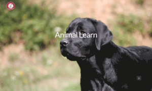 Animallearn.it thumbnail