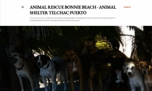 Animalrescuebonniebeach.blogspot.mx thumbnail