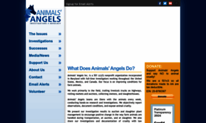 Animalsangels.org thumbnail