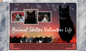 Animalsheltervolunteer.blogspot.com thumbnail