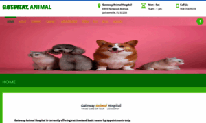 Animalshospital.com thumbnail