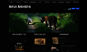 Anishandheria.com thumbnail