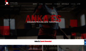Ankaes.com thumbnail