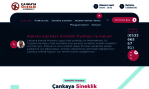 Ankaracankayasineklik.com thumbnail