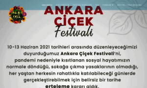 Ankaracicekfestivali.com thumbnail