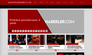 Ankarahastabakici.org thumbnail