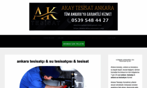 Ankaratesisatci.org thumbnail