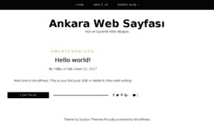 Ankarawebsayfasi.com thumbnail