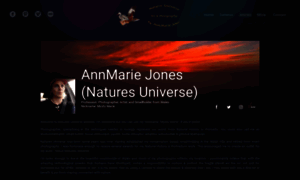 Annmariejones.me.uk thumbnail