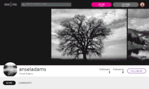 Anseladams.artistswanted.org thumbnail