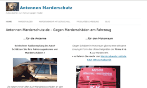 Antennen-marderschutz.de thumbnail