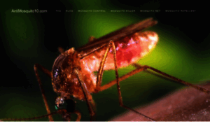 Antimosquitonet.com thumbnail