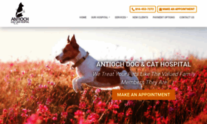 Antiochdog-cathospital.com thumbnail