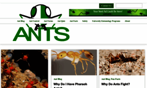 Ants.com thumbnail