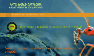 Antsworldcatalonia.com thumbnail