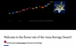 Anza.borregowildflowers.org thumbnail