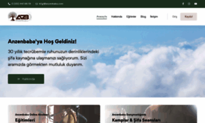 Anzenbaba.com thumbnail