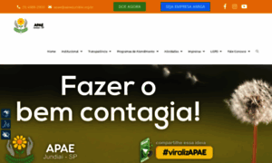 Apaejundiai.org.br thumbnail