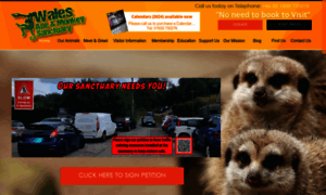 Ape-monkey-rescue.org.uk thumbnail